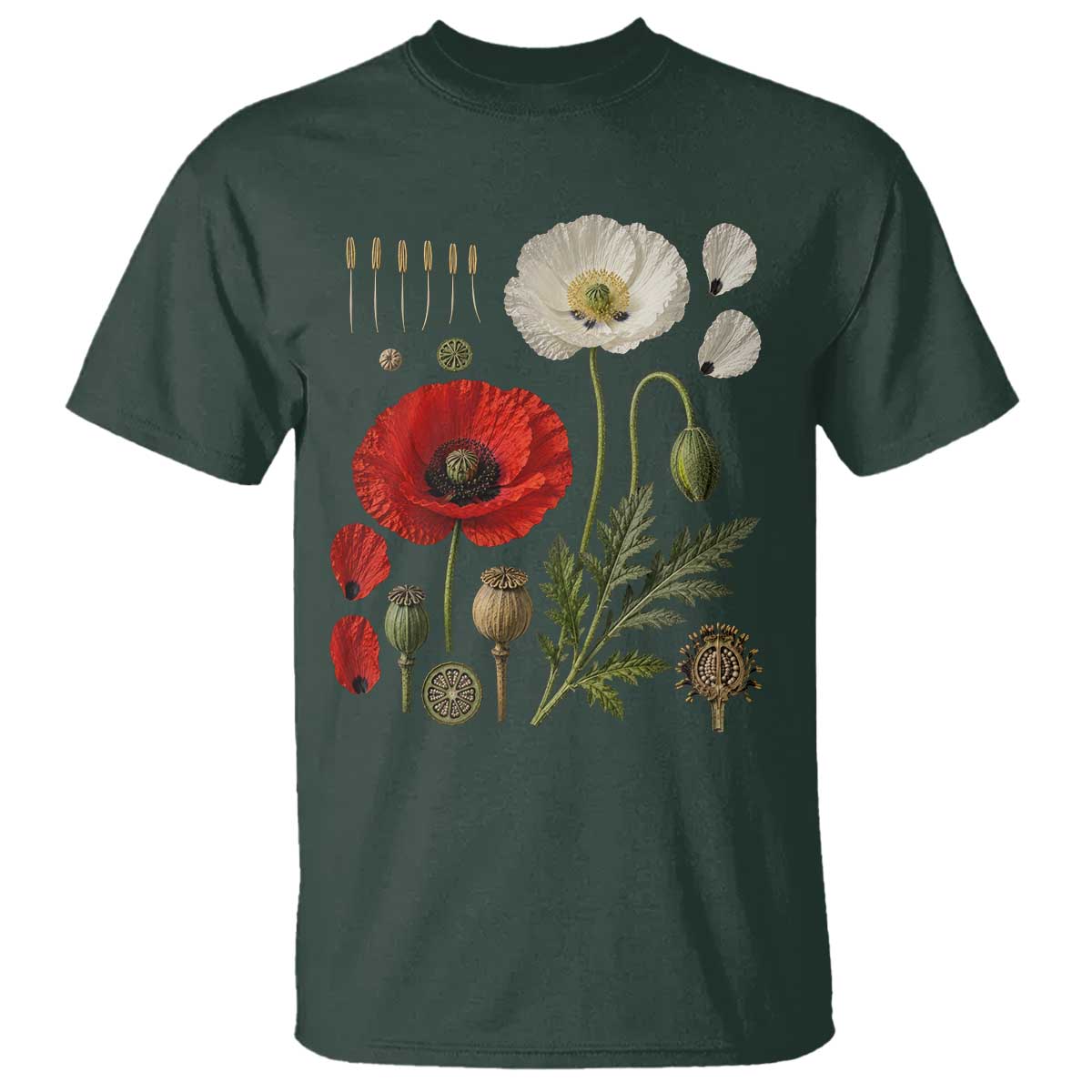 Summer Red Poppy Flower Botanical Poppies Vintage Print Memorial Day Floral Graphic T Shirt