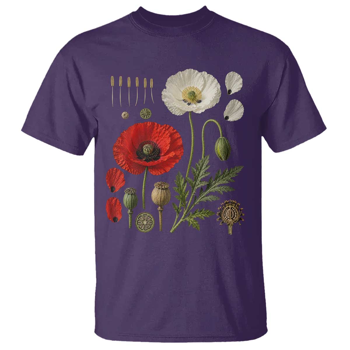 Summer Red Poppy Flower Botanical Poppies Vintage Print Memorial Day Floral Graphic T Shirt