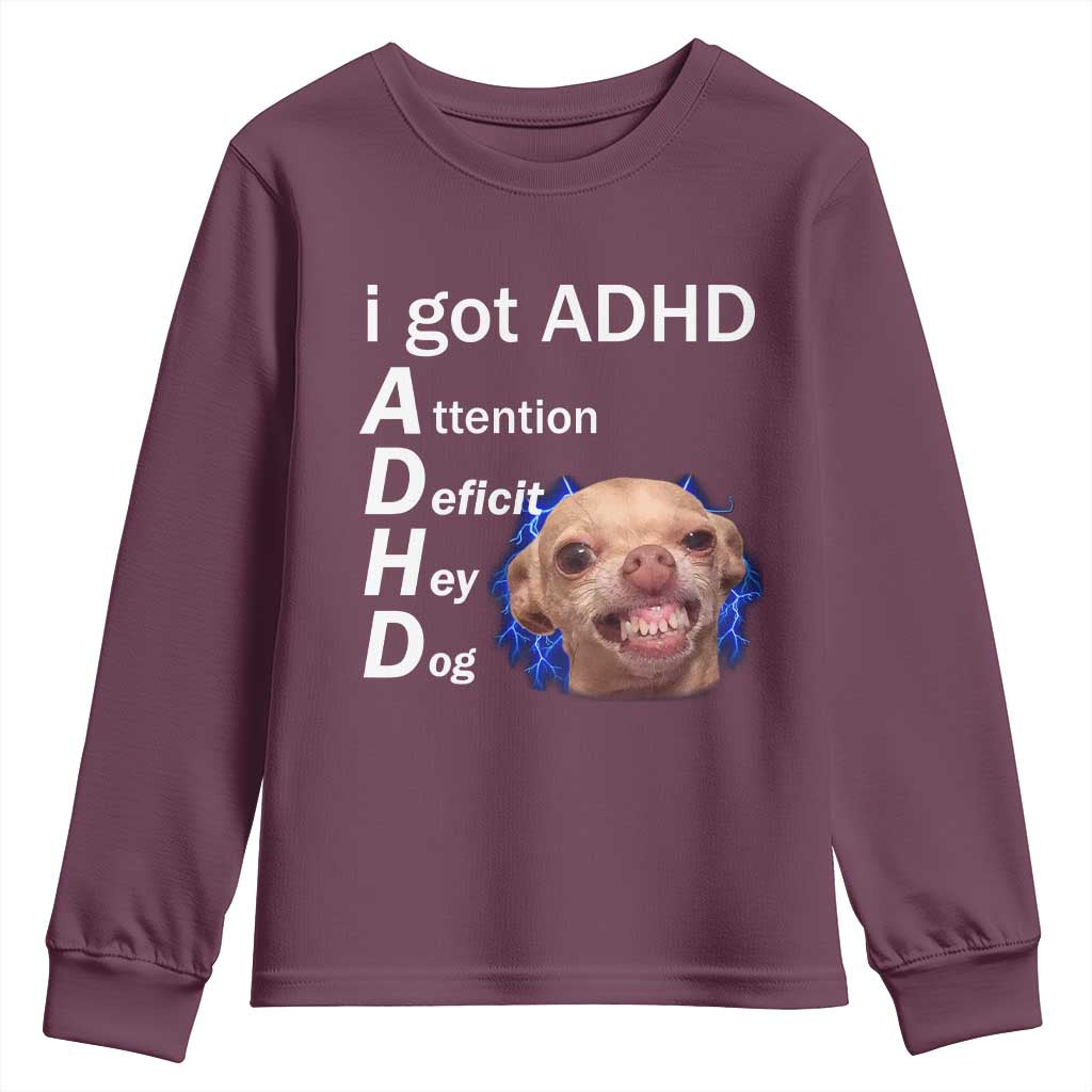 Funny ADHD Dog Meme Youth Sweatshirt Attention Deficit Hey Dog Humor Lovers - Wonder Print Shop