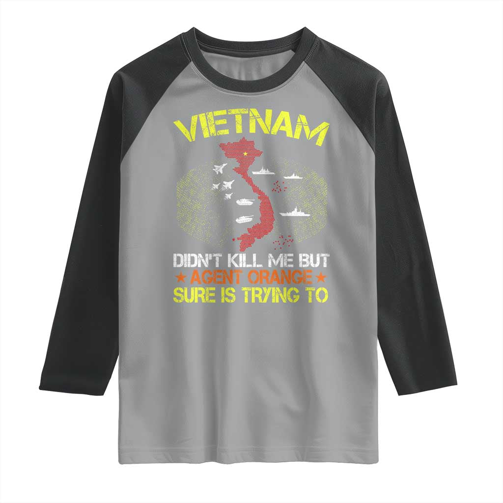 Agent Orange Dioxin Raglan Shirt Vietnam Veteran Vet Gifts - Wonder Print Shop