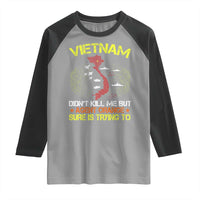 Agent Orange Dioxin Raglan Shirt Vietnam Veteran Vet Gifts - Wonder Print Shop