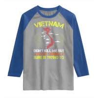 Agent Orange Dioxin Raglan Shirt Vietnam Veteran Vet Gifts - Wonder Print Shop