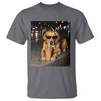 Funny Golden Retriever Iced Coffee T Shirt Grunge Silly Meme Graphic Funny Dog Lover