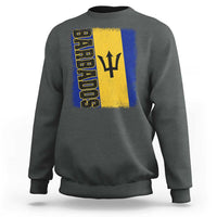 Vintage Barbados Flag Sweatshirt Distressed Patriotic Caribbean Island Barbadian Pride Heritage Gift