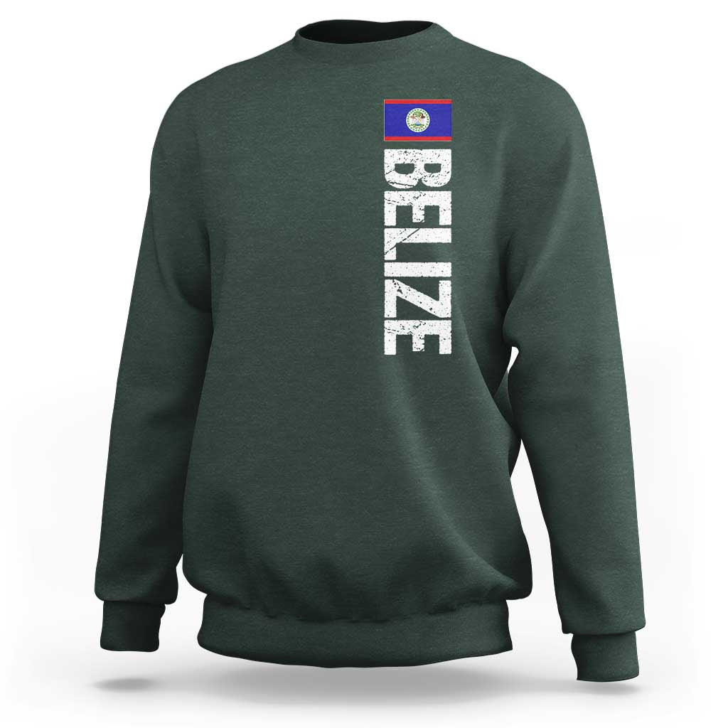 Belize Flag Sweatshirt Distressed Central American Pride Heritage Gift