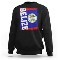 Vintage Belize Sweatshirt Distressed Flag Central American Pride Heritage Gift