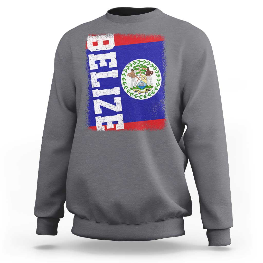Vintage Belize Sweatshirt Distressed Flag Central American Pride Heritage Gift