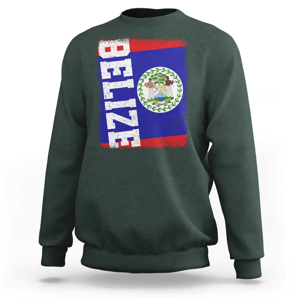 Vintage Belize Sweatshirt Distressed Flag Central American Pride Heritage Gift