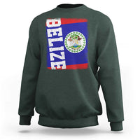 Vintage Belize Sweatshirt Distressed Flag Central American Pride Heritage Gift