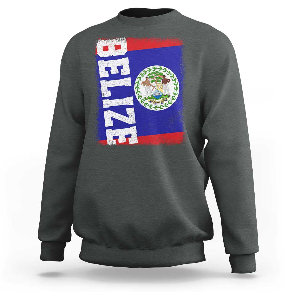 Vintage Belize Sweatshirt Distressed Flag Central American Pride Heritage Gift