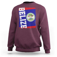 Vintage Belize Sweatshirt Distressed Flag Central American Pride Heritage Gift