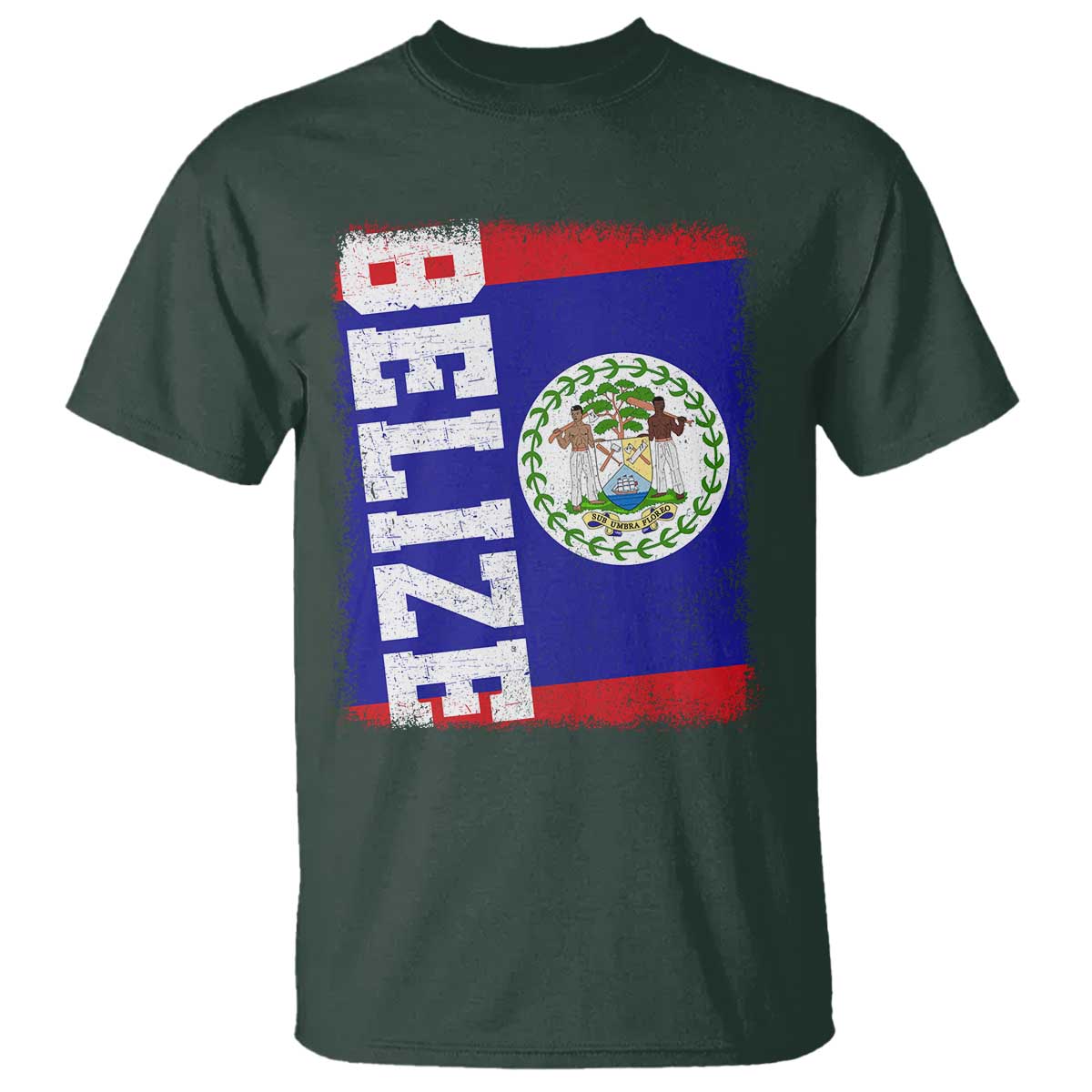 Vintage Belize T Shirt Distressed Flag Central American Pride Heritage Gift
