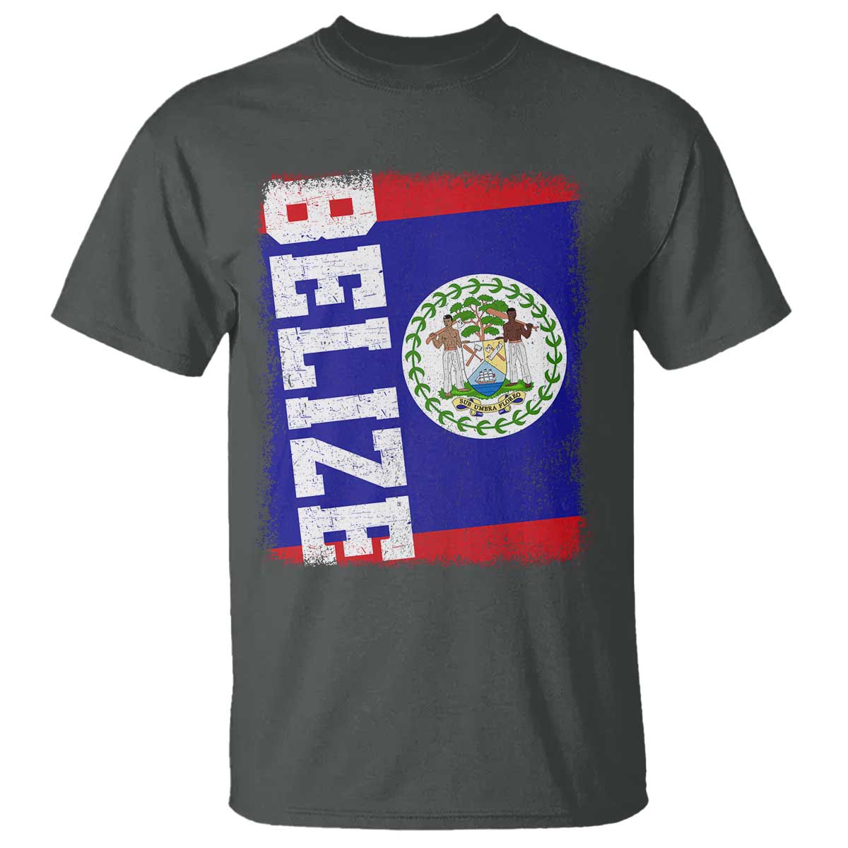 Vintage Belize T Shirt Distressed Flag Central American Pride Heritage Gift
