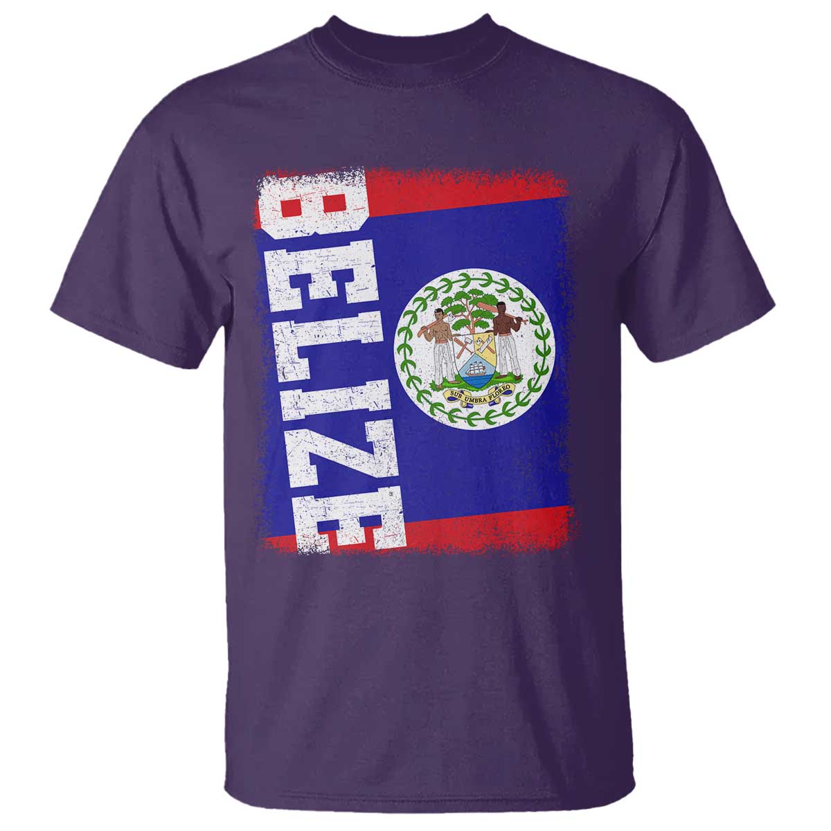 Vintage Belize T Shirt Distressed Flag Central American Pride Heritage Gift
