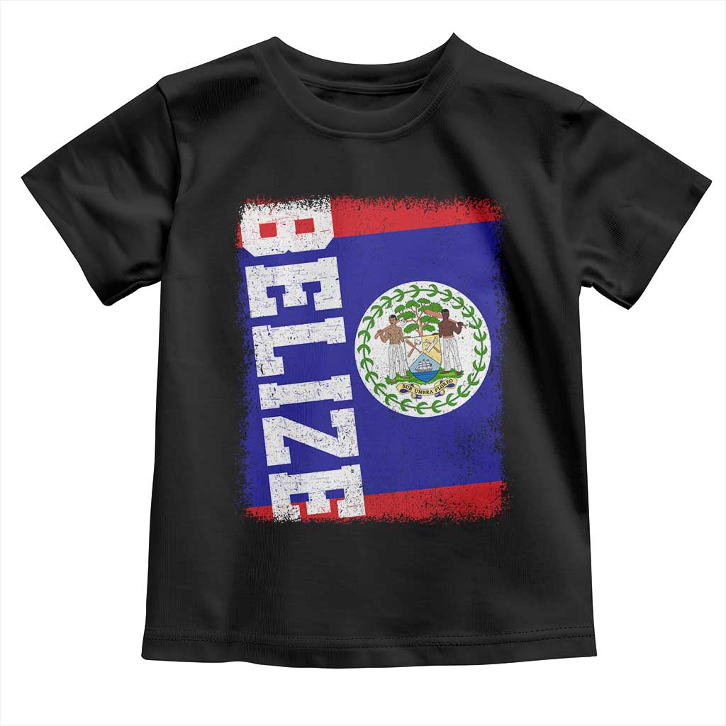 Vintage Belize Toddler T Shirt Distressed Flag Central American Pride Heritage Gift