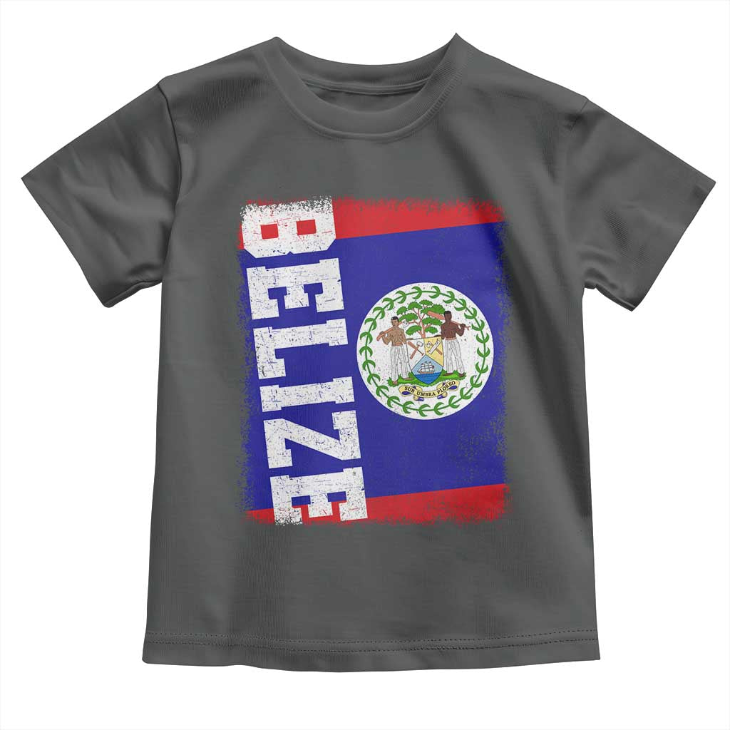 Vintage Belize Toddler T Shirt Distressed Flag Central American Pride Heritage Gift