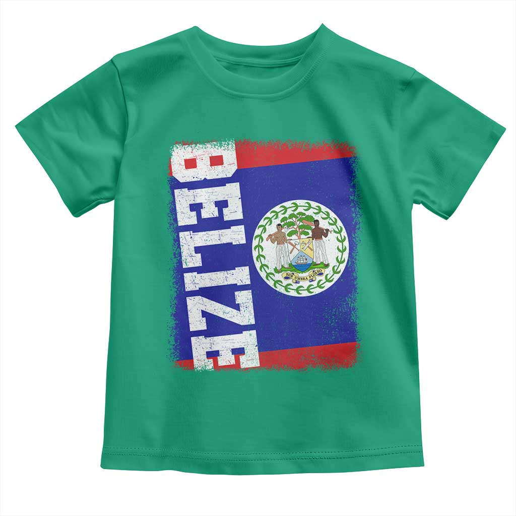 Vintage Belize Toddler T Shirt Distressed Flag Central American Pride Heritage Gift