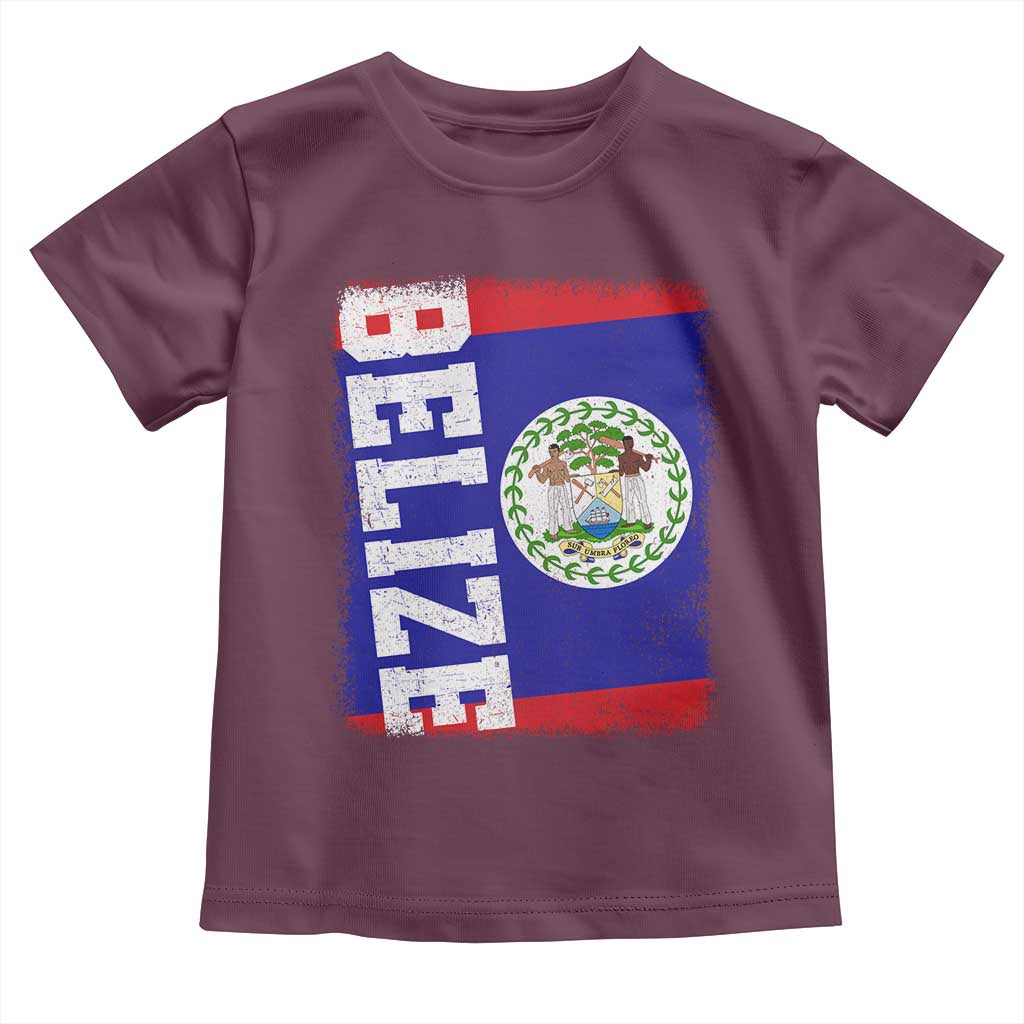 Vintage Belize Toddler T Shirt Distressed Flag Central American Pride Heritage Gift