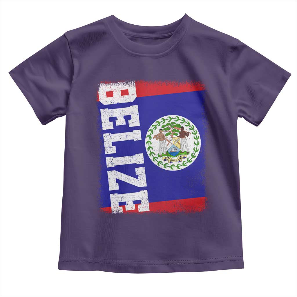 Vintage Belize Toddler T Shirt Distressed Flag Central American Pride Heritage Gift