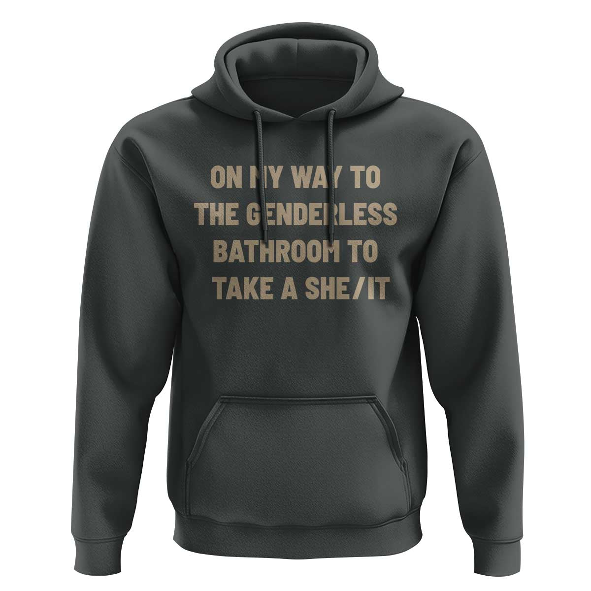 On My Way To The Genderless Bathroom To Take a She/It Hoodie