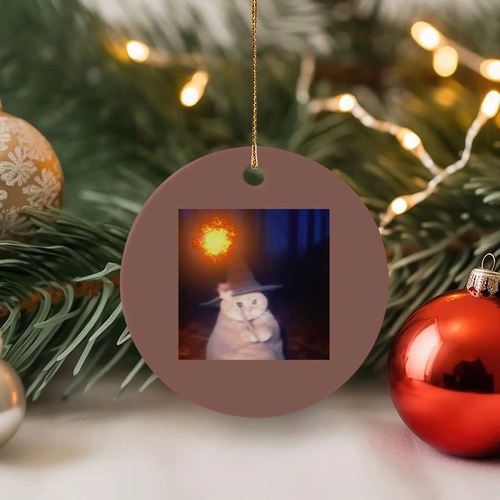 Wizard Cat Ceramic Ornament Weird Funny Retro Halloween Orange Cat Meme - Wonder Print Shop