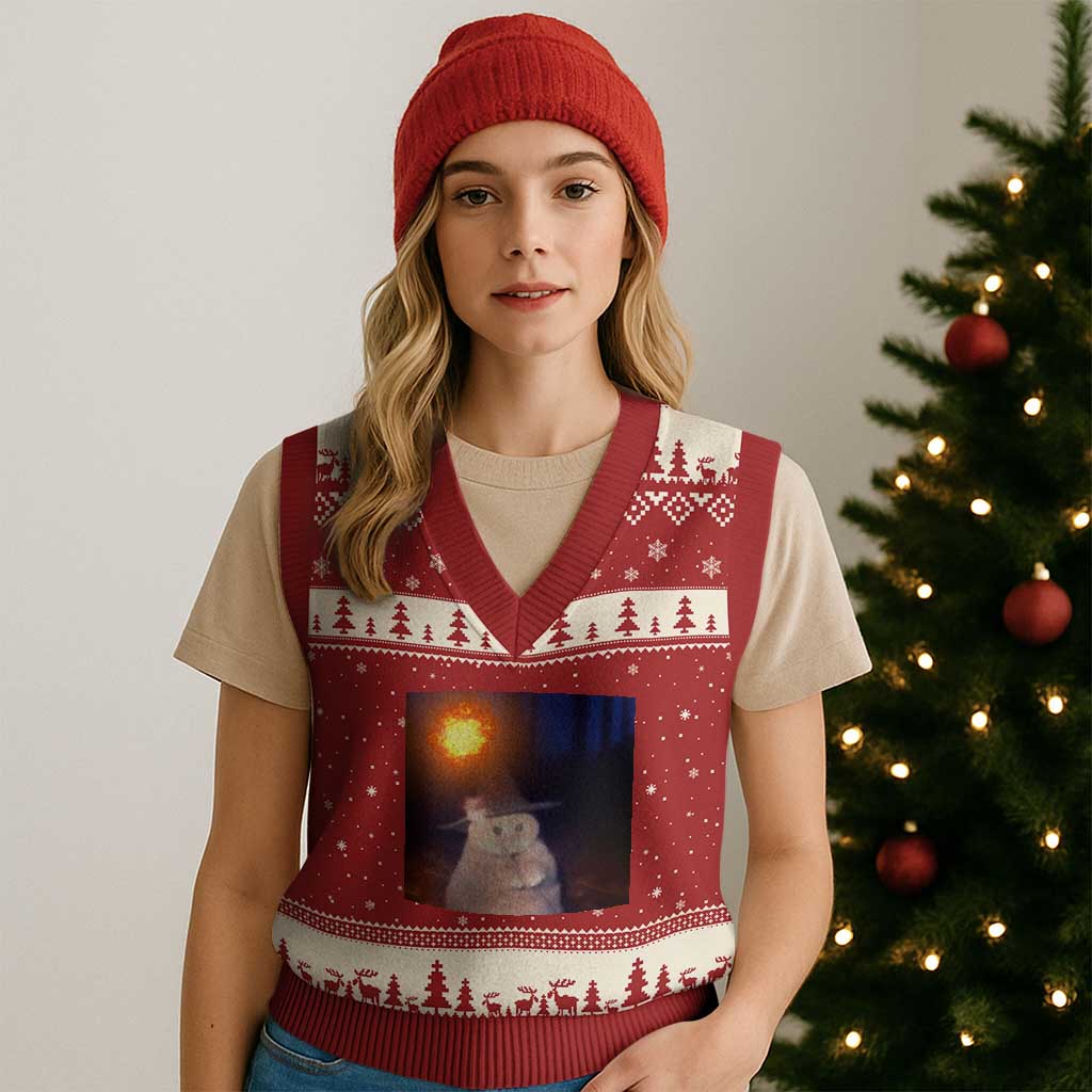 Wizard Cat V-Neck Knit Sweater Vest Weird Funny Retro Halloween Orange Cat Meme - Wonder Print Shop