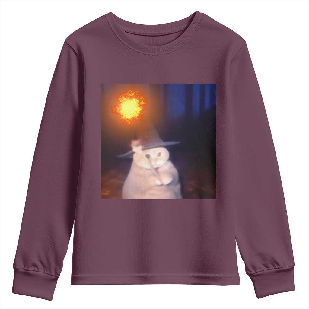 Wizard Cat Youth Sweatshirt Weird Funny Retro Halloween Orange Cat Meme - Wonder Print Shop