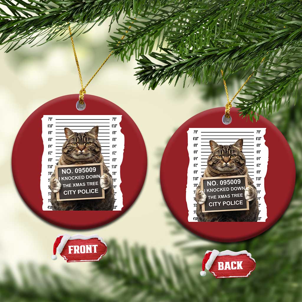 Funny Cat Xmas Christmas Ornament Mugshot I Knocked Down The Xmas Tree - Wonder Print Shop