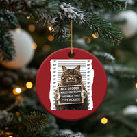 Funny Cat Xmas Christmas Ornament Mugshot I Knocked Down The Xmas Tree - Wonder Print Shop