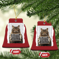 Funny Cat Xmas Christmas Ornament Mugshot I Knocked Down The Xmas Tree - Wonder Print Shop