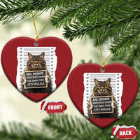 Funny Cat Xmas Christmas Ornament Mugshot I Knocked Down The Xmas Tree - Wonder Print Shop
