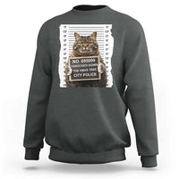 Funny Cat Christmas Sweatshirt Mugshot I Knocked Down The Xmas Tree - Wonder Print Shop