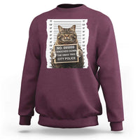 Funny Cat Christmas Sweatshirt Mugshot I Knocked Down The Xmas Tree - Wonder Print Shop
