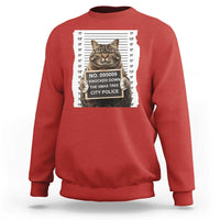 Funny Cat Christmas Sweatshirt Mugshot I Knocked Down The Xmas Tree - Wonder Print Shop