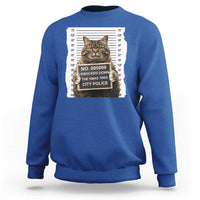 Funny Cat Christmas Sweatshirt Mugshot I Knocked Down The Xmas Tree - Wonder Print Shop