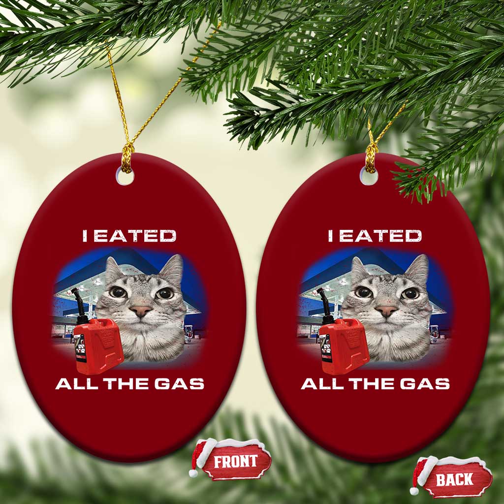 Sarcastic Cat Meme Ceramic Ornament Funny Retro I Eated All The Gas Gen Z Humor - Wonder Print Shop