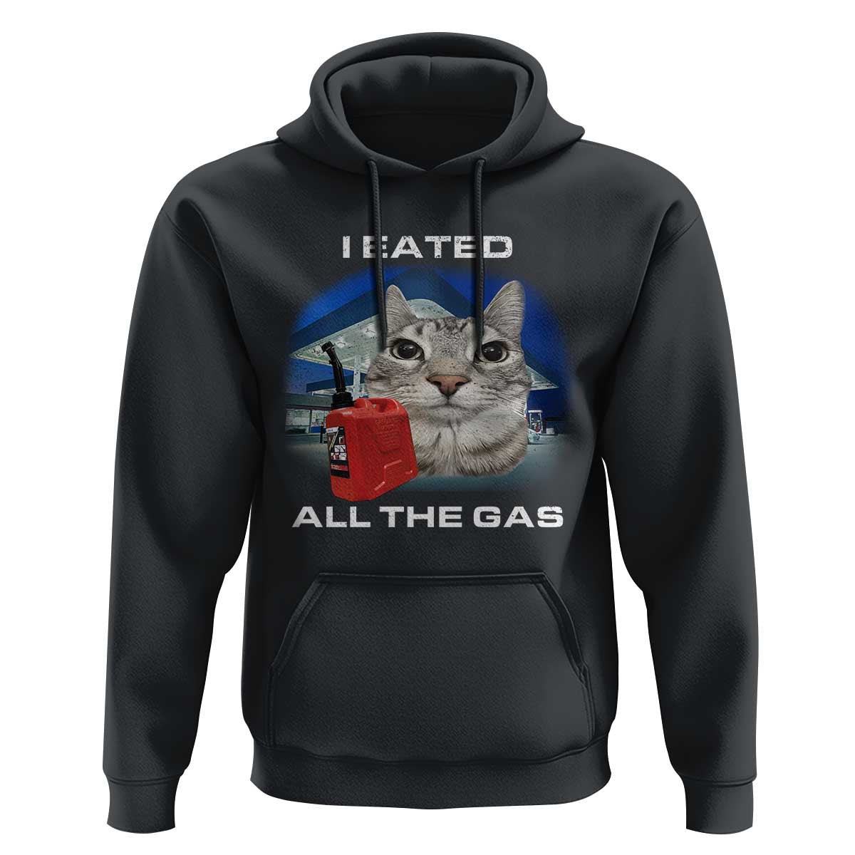 Sarcastic Cat Meme Hoodie Funny Retro I Eated All The Gas Gen Z Humor - Wonder Print Shop