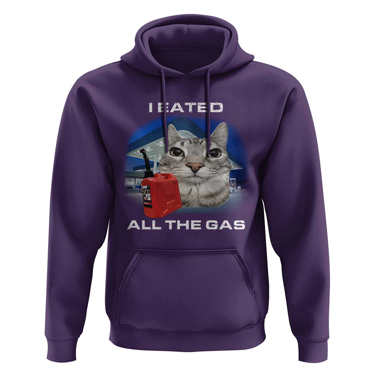 Sarcastic Cat Meme Hoodie Funny Retro I Eated All The Gas Gen Z Humor - Wonder Print Shop