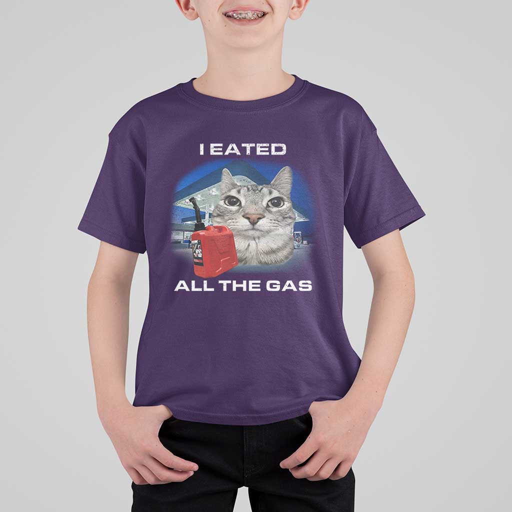 Sarcastic Cat Meme T Shirt For Kid Funny Retro I Eated All The Gas Gen Z Humor - Wonder Print Shop