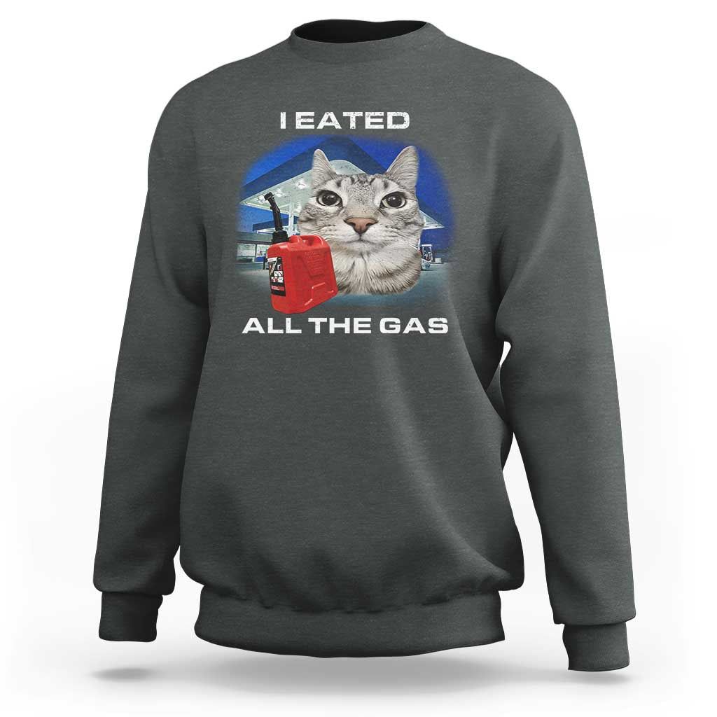 Sarcastic Cat Meme Sweatshirt Funny Retro I Eated All The Gas Gen Z Humor - Wonder Print Shop