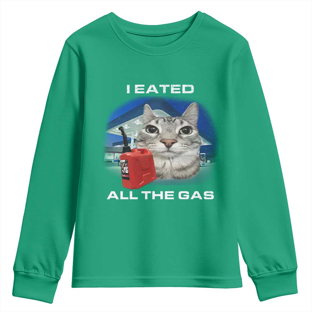 Sarcastic Cat Meme Youth Sweatshirt Funny Retro I Eated All The Gas Gen Z Humor - Wonder Print Shop