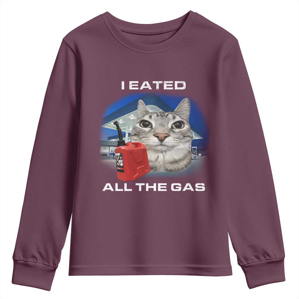 Sarcastic Cat Meme Youth Sweatshirt Funny Retro I Eated All The Gas Gen Z Humor - Wonder Print Shop