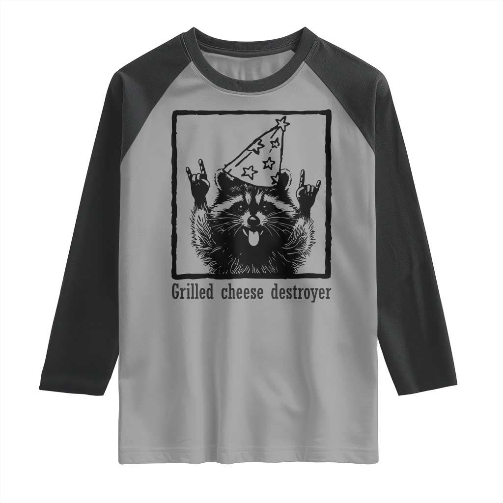 Vintage Raccoon Raglan Shirt Retro Silly Trash Panda Meme - Wonder Print Shop