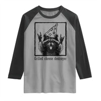 Vintage Raccoon Raglan Shirt Retro Silly Trash Panda Meme - Wonder Print Shop