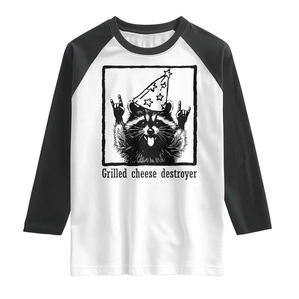 Vintage Raccoon Raglan Shirt Retro Silly Trash Panda Meme - Wonder Print Shop