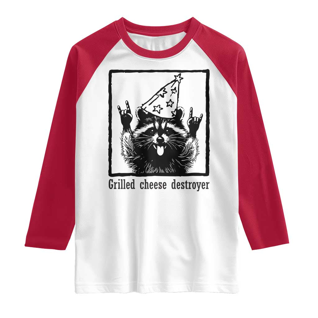 Vintage Raccoon Raglan Shirt Retro Silly Trash Panda Meme - Wonder Print Shop