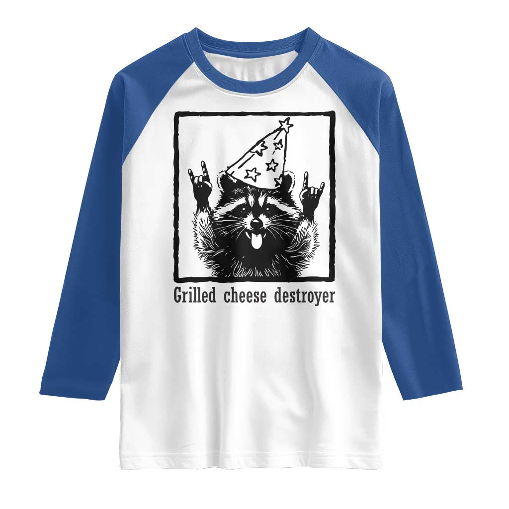 Vintage Raccoon Raglan Shirt Retro Silly Trash Panda Meme - Wonder Print Shop
