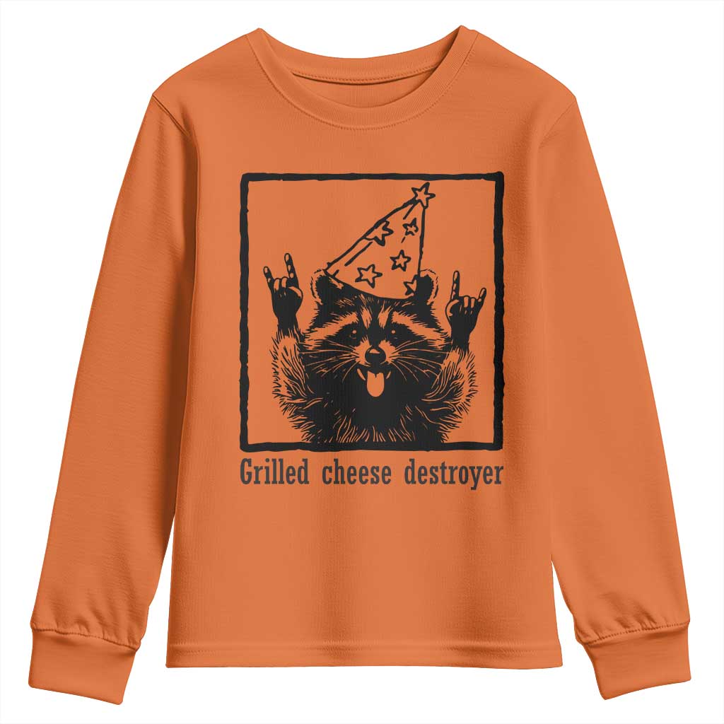 Vintage Raccoon Youth Sweatshirt Retro Silly Trash Panda Meme - Wonder Print Shop