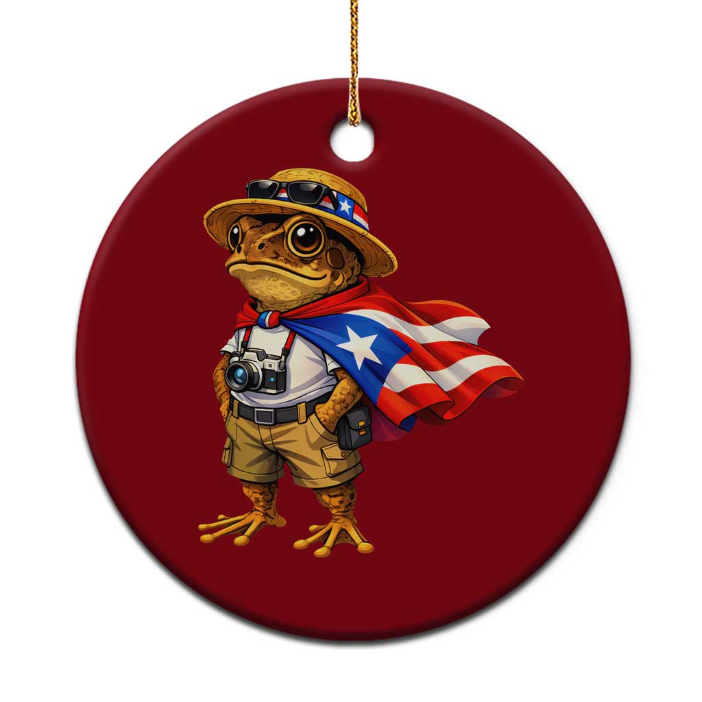 Coqui Frog Puerto Rico Flag Ceramic Ornament Puerto Rican Taino Boricua Vibes