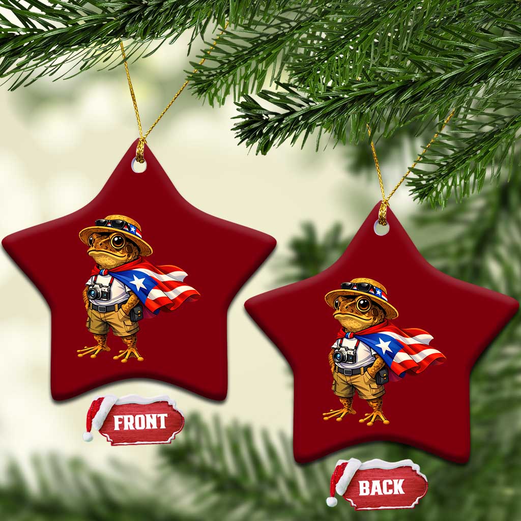 Coqui Frog Puerto Rico Flag Ceramic Ornament Puerto Rican Taino Boricua Vibes
